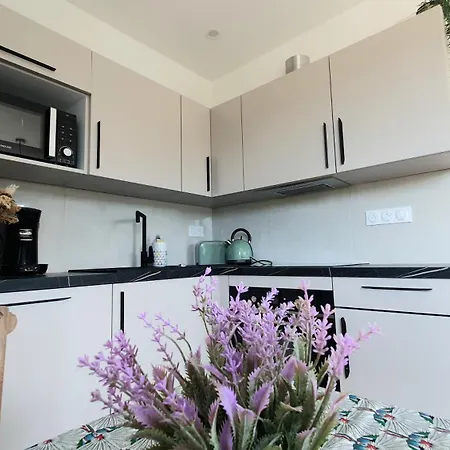 Appartement Calme Et Vue Panoramique à Pégomas Extérieur photo